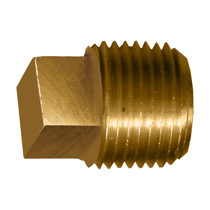 1/2" Plug (Square Hd)
