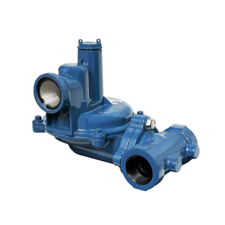 NGR02 Gas Regulator, 6" Diaphragm, 1" Vent, CSA