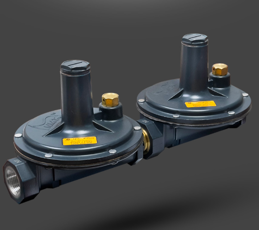 1" N5B 5psi Regulator w/ OPD, Non-Vented c/w VLD's