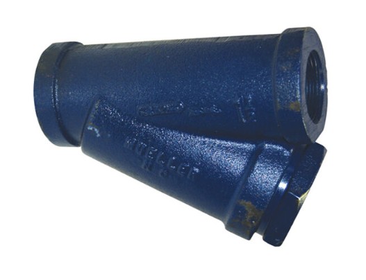Y-Strainer, 2" Class 250, Cast Iron, 60 Mesh