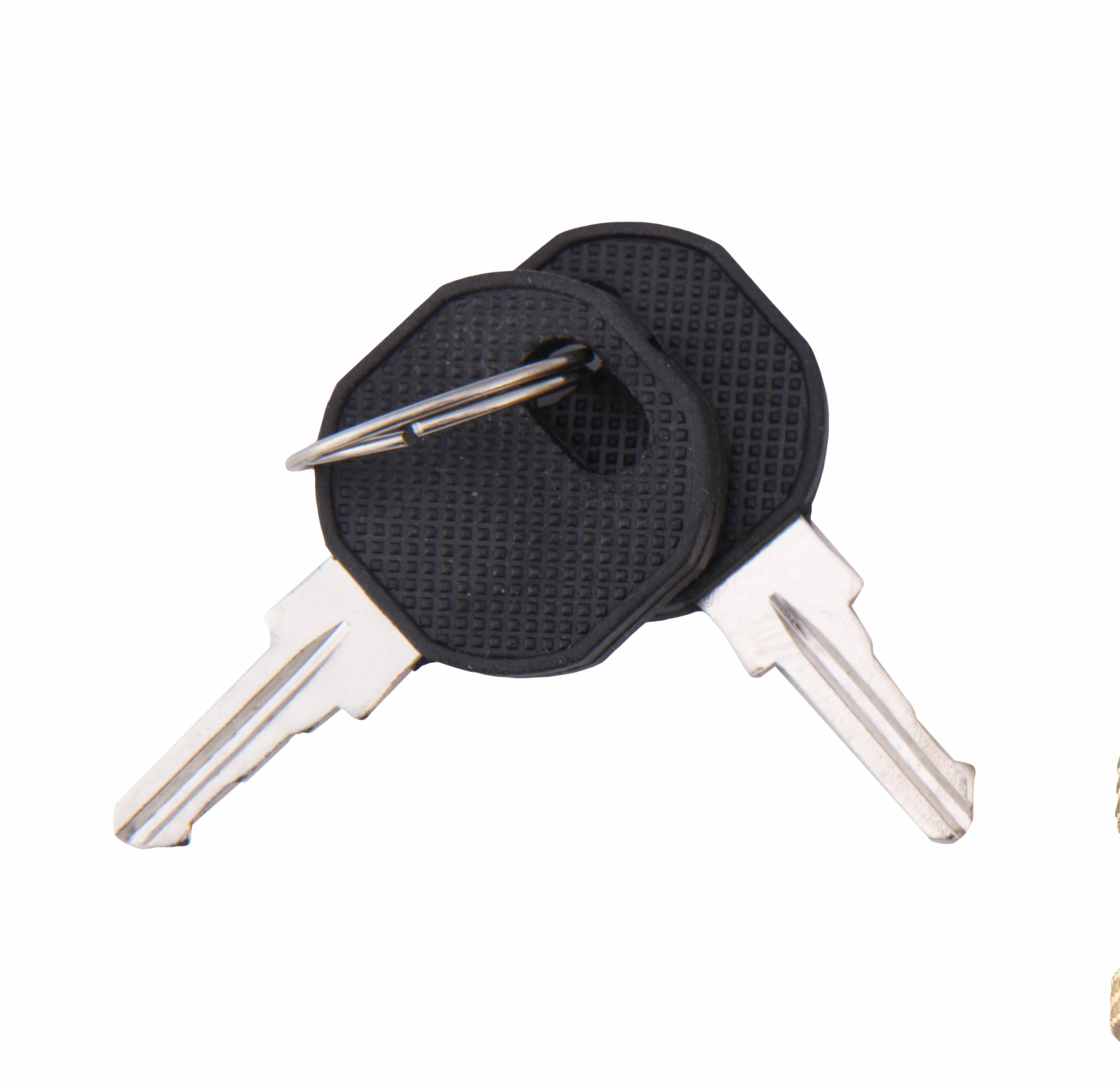 KEY-GR0101 Replacement Keys