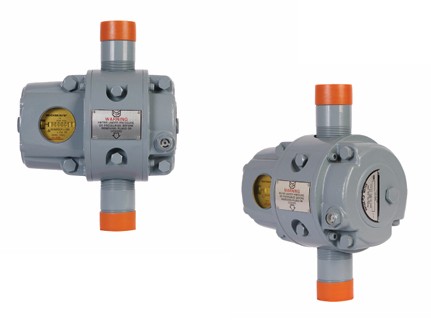 Rotary Gas Meters